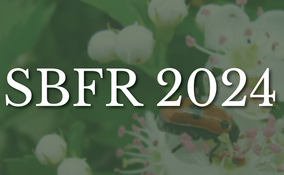 SBFR 2024